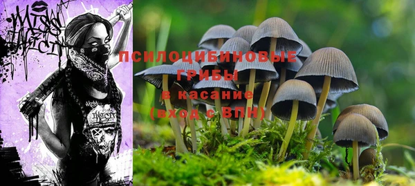 индика Армянск