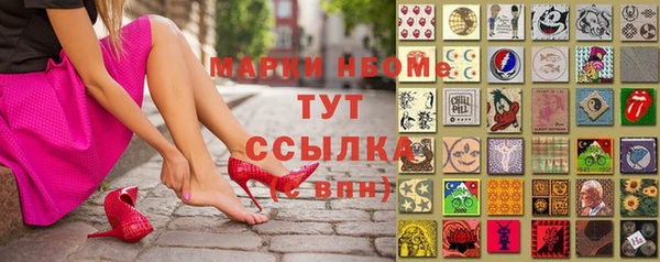 индика Армянск
