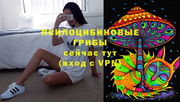 индика Армянск