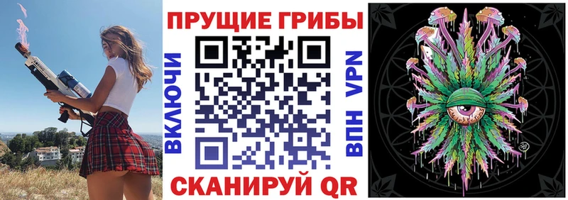 Псилоцибиновые грибы прущие грибы  Сорочинск 